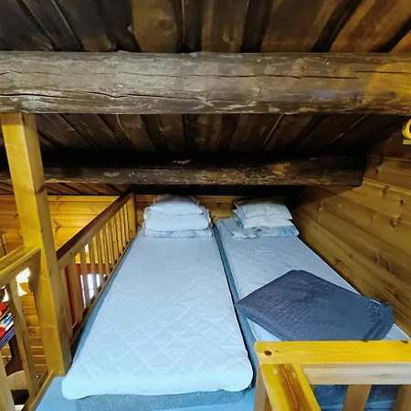 Metsaepirtti 4 Nyaraló *