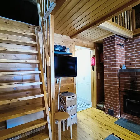 Metsaepirtti 4 * Syöte